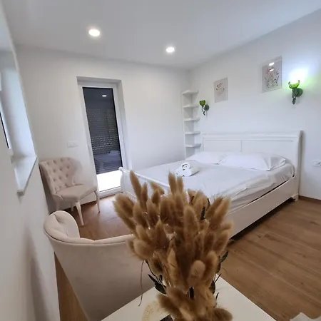 Domacija Rajsko Srce Apartmán