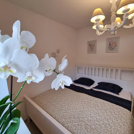 Apartmán Domacija Rajsko Srce *