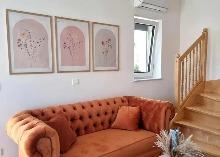 Domacija Rajsko Srce Šentjur