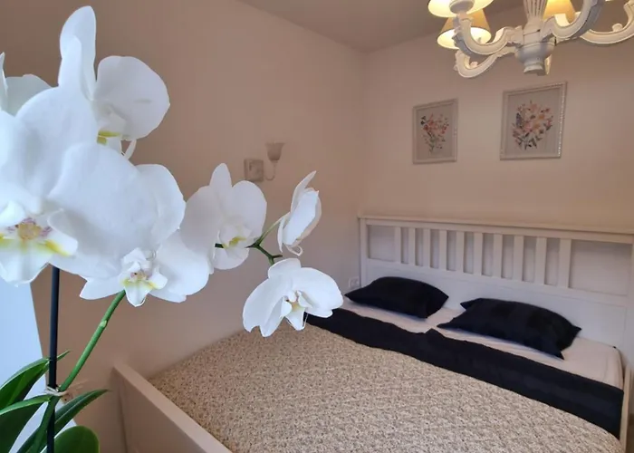 Appartement Domacija Rajsko Srce *